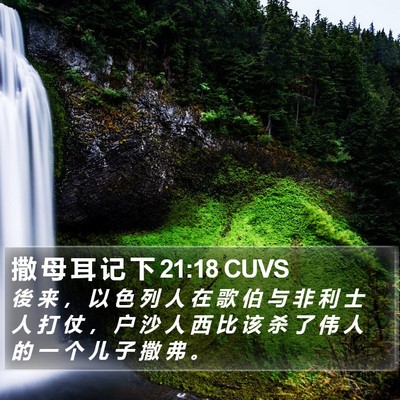 撒 母 耳 记 下 21:18 CUVS Bible Verse Image