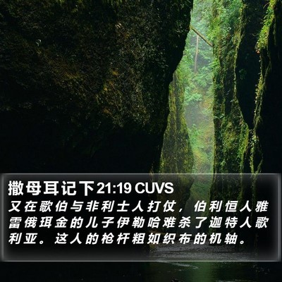 撒 母 耳 记 下 21:19 CUVS Bible Verse Image