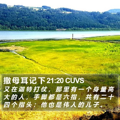 撒 母 耳 记 下 21:20 CUVS Bible Verse Image