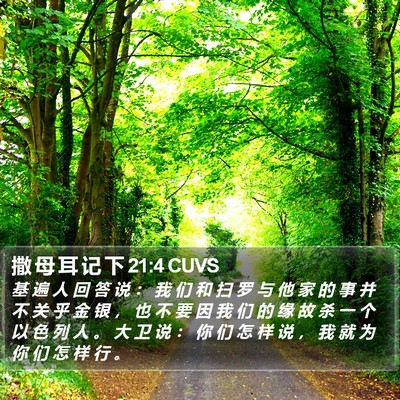 撒 母 耳 记 下 21:4 CUVS Bible Verse Image
