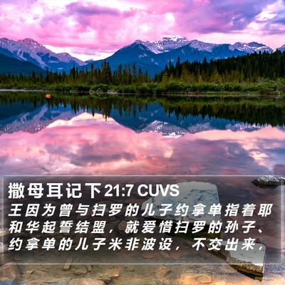 撒 母 耳 记 下 21:7 CUVS Bible Verse Image
