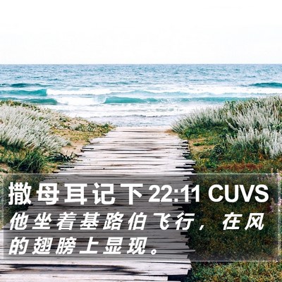 撒 母 耳 记 下 22:11 CUVS Bible Verse Image