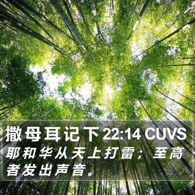 撒 母 耳 记 下 22:14 CUVS Bible Verse Image