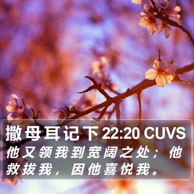 撒 母 耳 记 下 22:20 CUVS Bible Verse Image