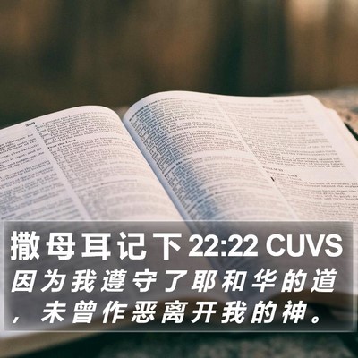 撒 母 耳 记 下 22:22 CUVS Bible Verse Image