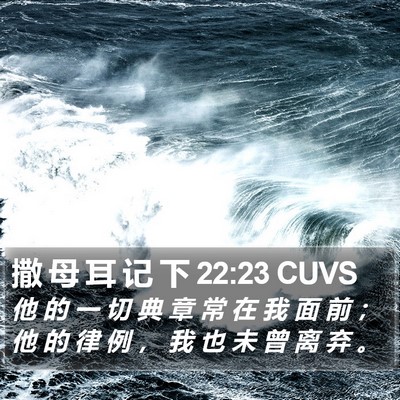 撒 母 耳 记 下 22:23 CUVS Bible Verse Image