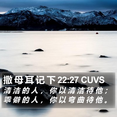 撒 母 耳 记 下 22:27 CUVS Bible Verse Image