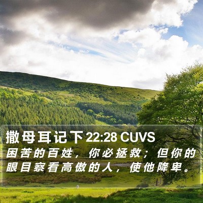 撒 母 耳 记 下 22:28 CUVS Bible Verse Image