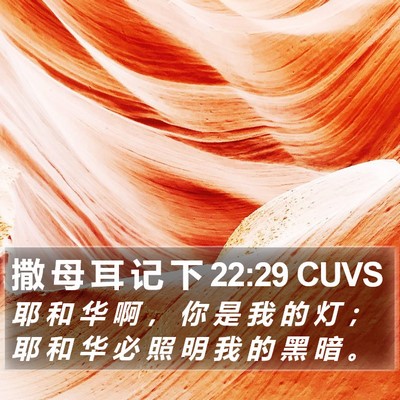 撒 母 耳 记 下 22:29 CUVS Bible Verse Image