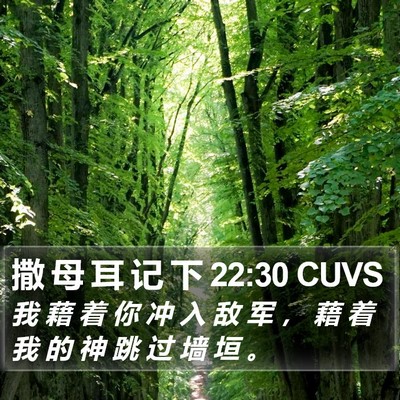 撒 母 耳 记 下 22:30 CUVS Bible Verse Image