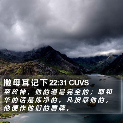 撒 母 耳 记 下 22:31 CUVS Bible Verse Image