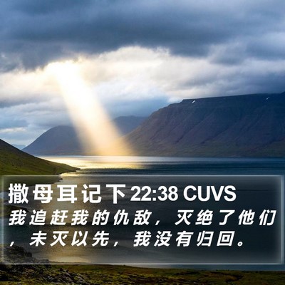 撒 母 耳 记 下 22:38 CUVS Bible Verse Image