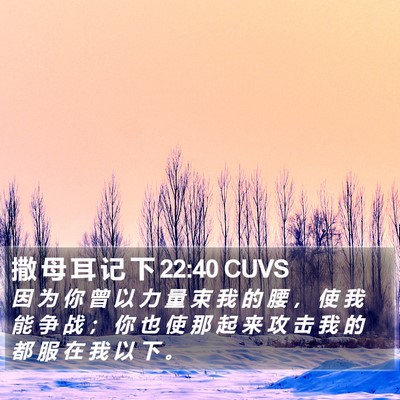 撒 母 耳 记 下 22:40 CUVS Bible Verse Image