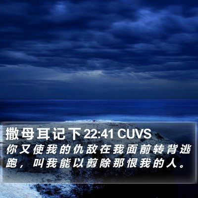 撒 母 耳 记 下 22:41 CUVS Bible Verse Image