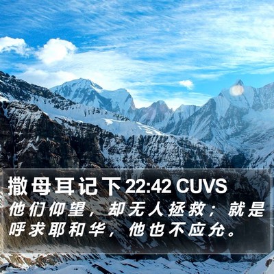 撒 母 耳 记 下 22:42 CUVS Bible Verse Image