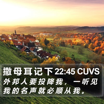 撒 母 耳 记 下 22:45 CUVS Bible Verse Image