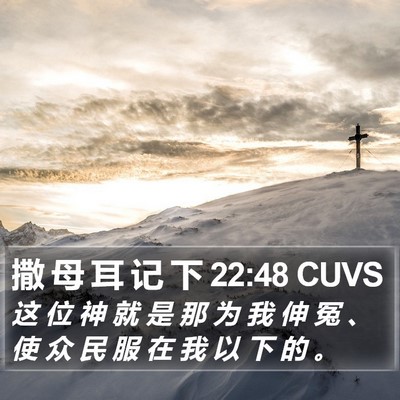撒 母 耳 记 下 22:48 CUVS Bible Verse Image