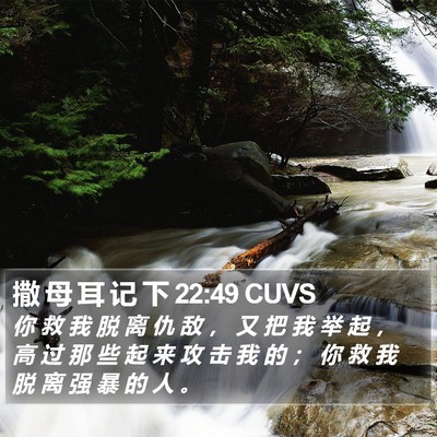 撒 母 耳 记 下 22:49 CUVS Bible Verse Image