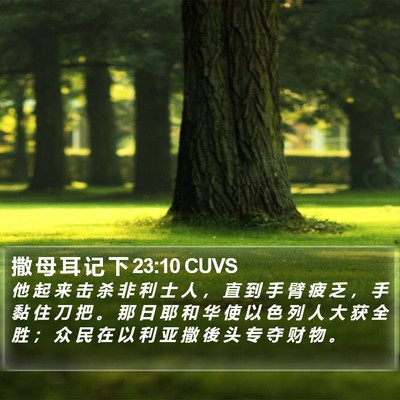 撒 母 耳 记 下 23:10 CUVS Bible Verse Image