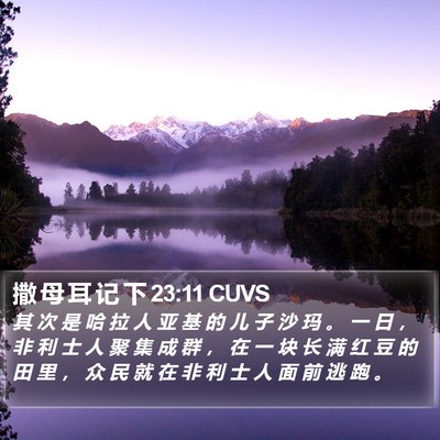 撒 母 耳 记 下 23:11 CUVS Bible Verse Image