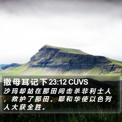 撒 母 耳 记 下 23:12 CUVS Bible Verse Image