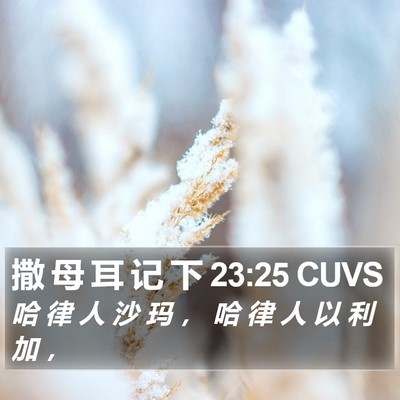 撒 母 耳 记 下 23:25 CUVS Bible Verse Image
