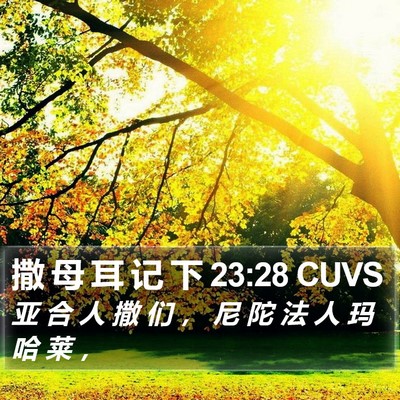 撒 母 耳 记 下 23:28 CUVS Bible Verse Image