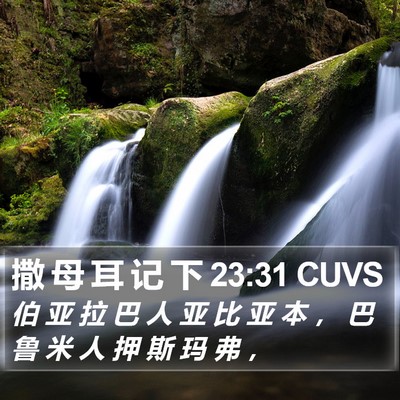 撒 母 耳 记 下 23:31 CUVS Bible Verse Image