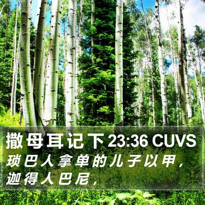 撒 母 耳 记 下 23:36 CUVS Bible Verse Image