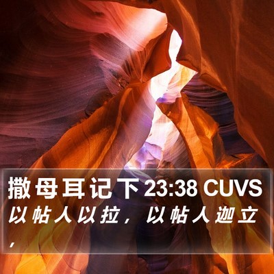 撒 母 耳 记 下 23:38 CUVS Bible Verse Image