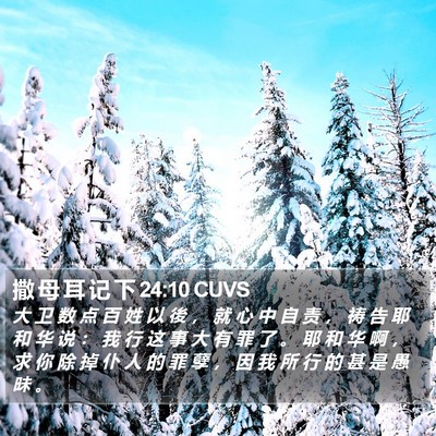 撒 母 耳 记 下 24:10 CUVS Bible Verse Image