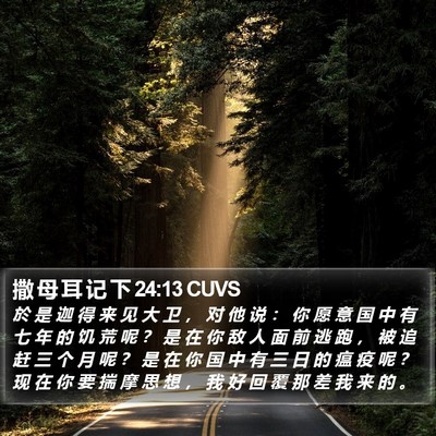 撒 母 耳 记 下 24:13 CUVS Bible Verse Image