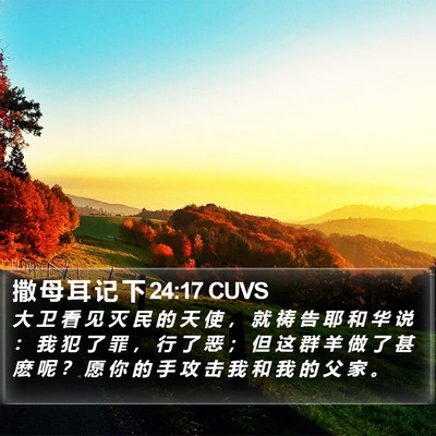 撒 母 耳 记 下 24:17 CUVS Bible Verse Image