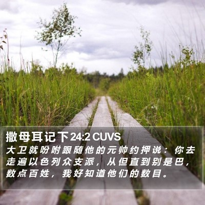 撒 母 耳 记 下 24:2 CUVS Bible Verse Image