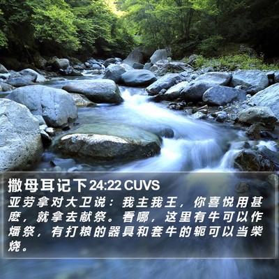 撒 母 耳 记 下 24:22 CUVS Bible Verse Image