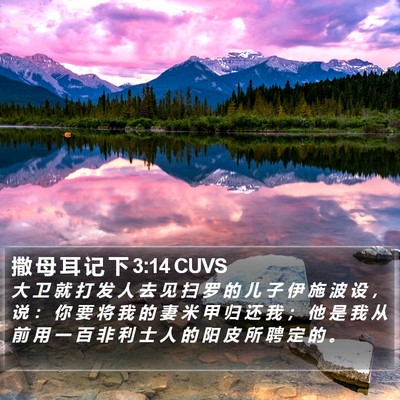 撒 母 耳 记 下 3:14 CUVS Bible Verse Image