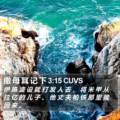 撒 母 耳 记 下 3:15 CUVS Bible Verse Image
