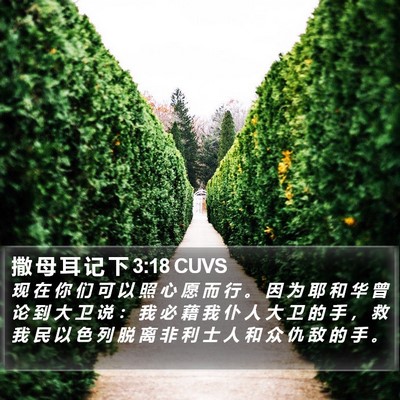 撒 母 耳 记 下 3:18 CUVS Bible Verse Image