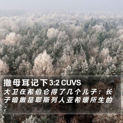 撒 母 耳 记 下 3:2 CUVS Bible Verse Image