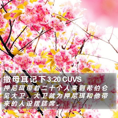撒 母 耳 记 下 3:20 CUVS Bible Verse Image
