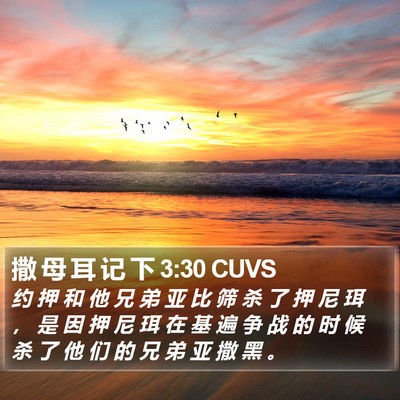 撒 母 耳 记 下 3:30 CUVS Bible Verse Image