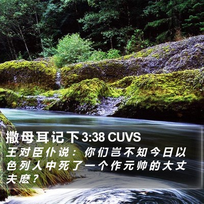 撒 母 耳 记 下 3:38 CUVS Bible Verse Image