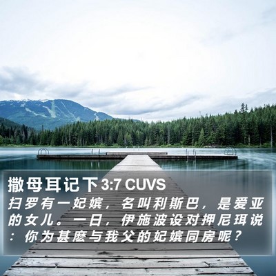 撒 母 耳 记 下 3:7 CUVS Bible Verse Image