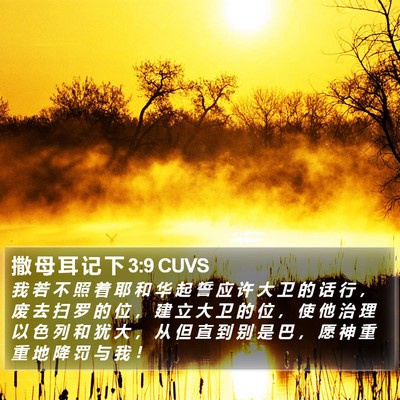 撒 母 耳 记 下 3:9 CUVS Bible Verse Image
