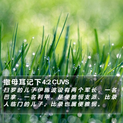 撒 母 耳 记 下 4:2 CUVS Bible Verse Image