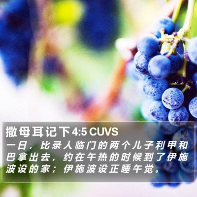 撒 母 耳 记 下 4:5 CUVS Bible Verse Image