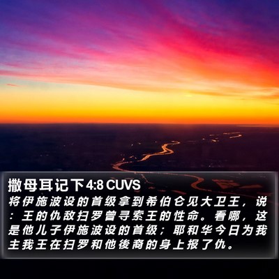 撒 母 耳 记 下 4:8 CUVS Bible Verse Image