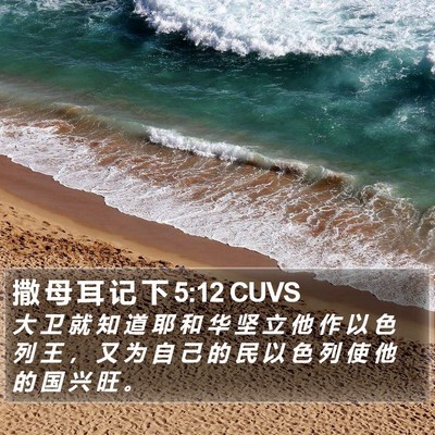 撒 母 耳 记 下 5:12 CUVS Bible Verse Image