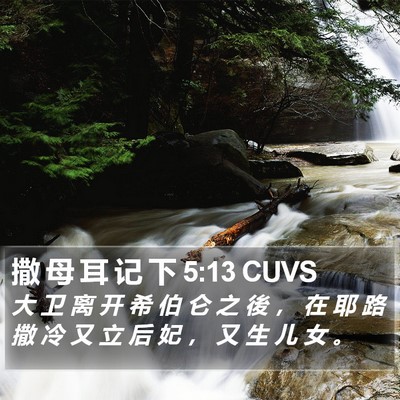 撒 母 耳 记 下 5:13 CUVS Bible Verse Image