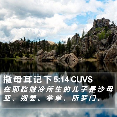 撒 母 耳 记 下 5:14 CUVS Bible Verse Image